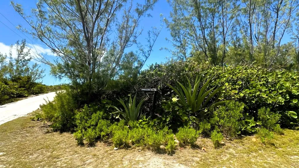 Lot 36 Smuggler's Hill Road Eleuthera BS