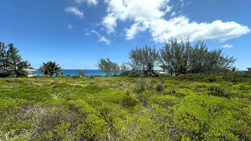 Lot 36 Smuggler's Hill Road Eleuthera BS