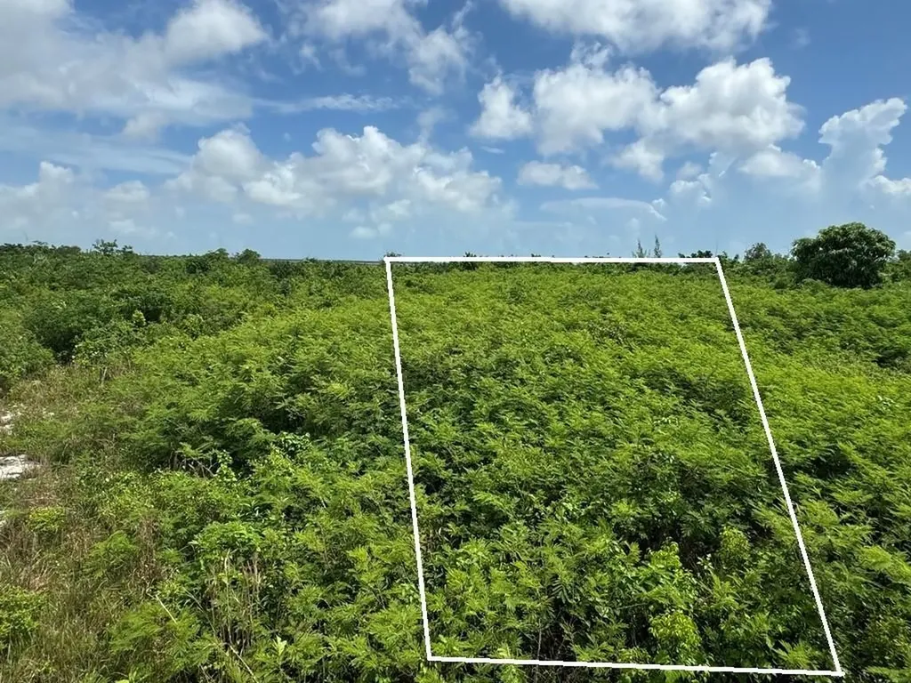 38b Sweetings Cay Grand Bahama Freeport BS