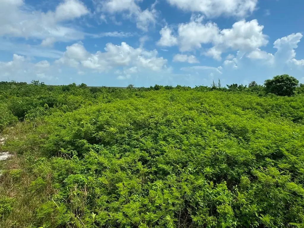38b Sweetings Cay Grand Bahama Freeport BS