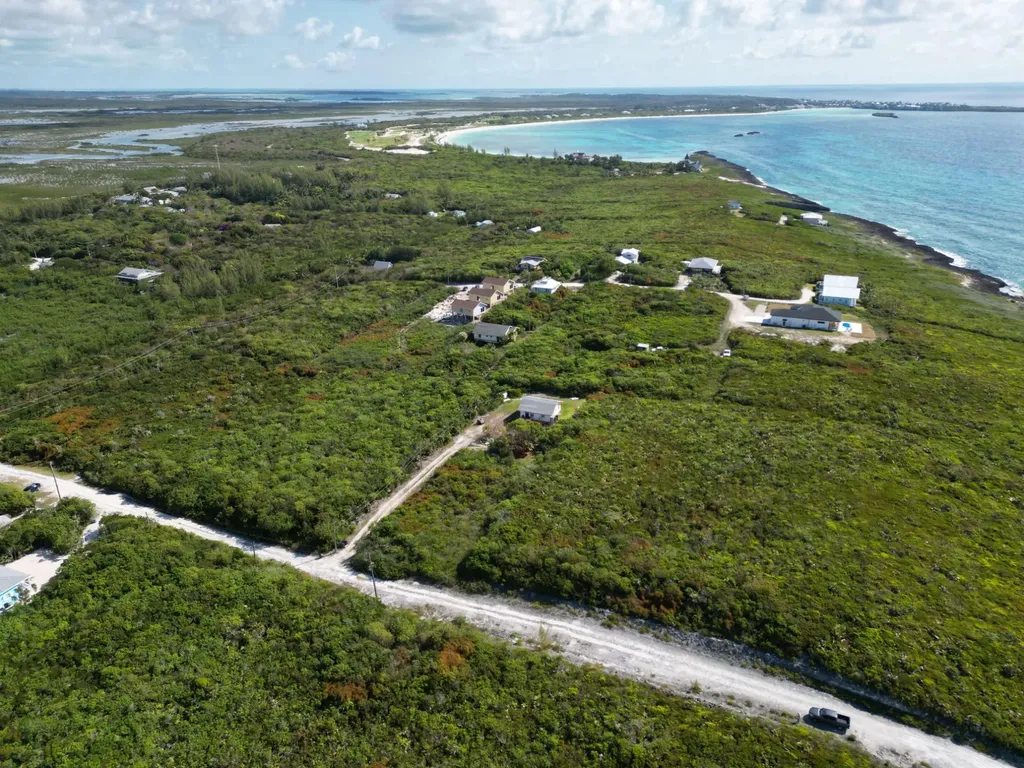 Yellow Wood, Cherokee 4f Abaco BS