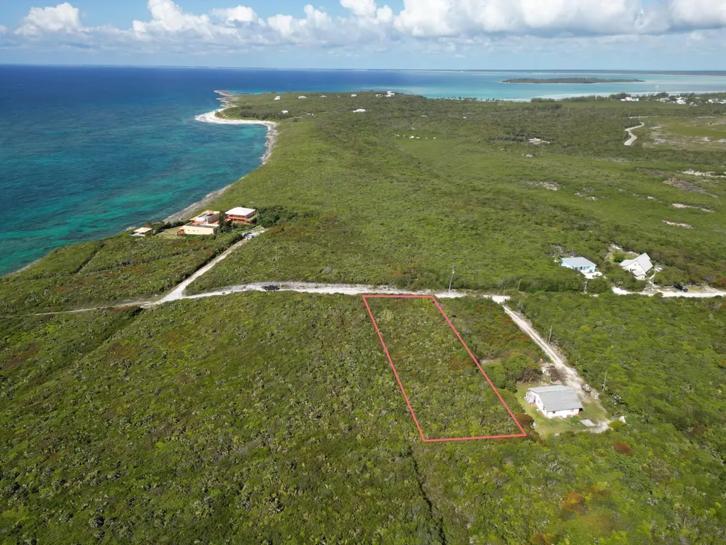 Yellow Wood, Cherokee 4f Abaco BS