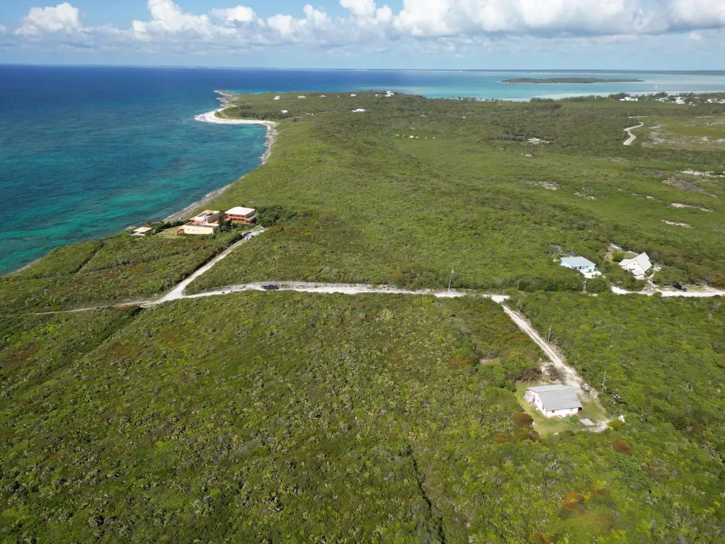 Yellow Wood, Cherokee 4f Abaco BS
