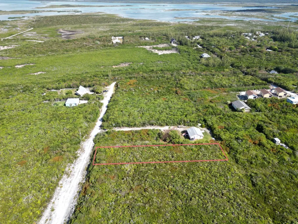 Yellow Wood, Cherokee 4f Abaco BS