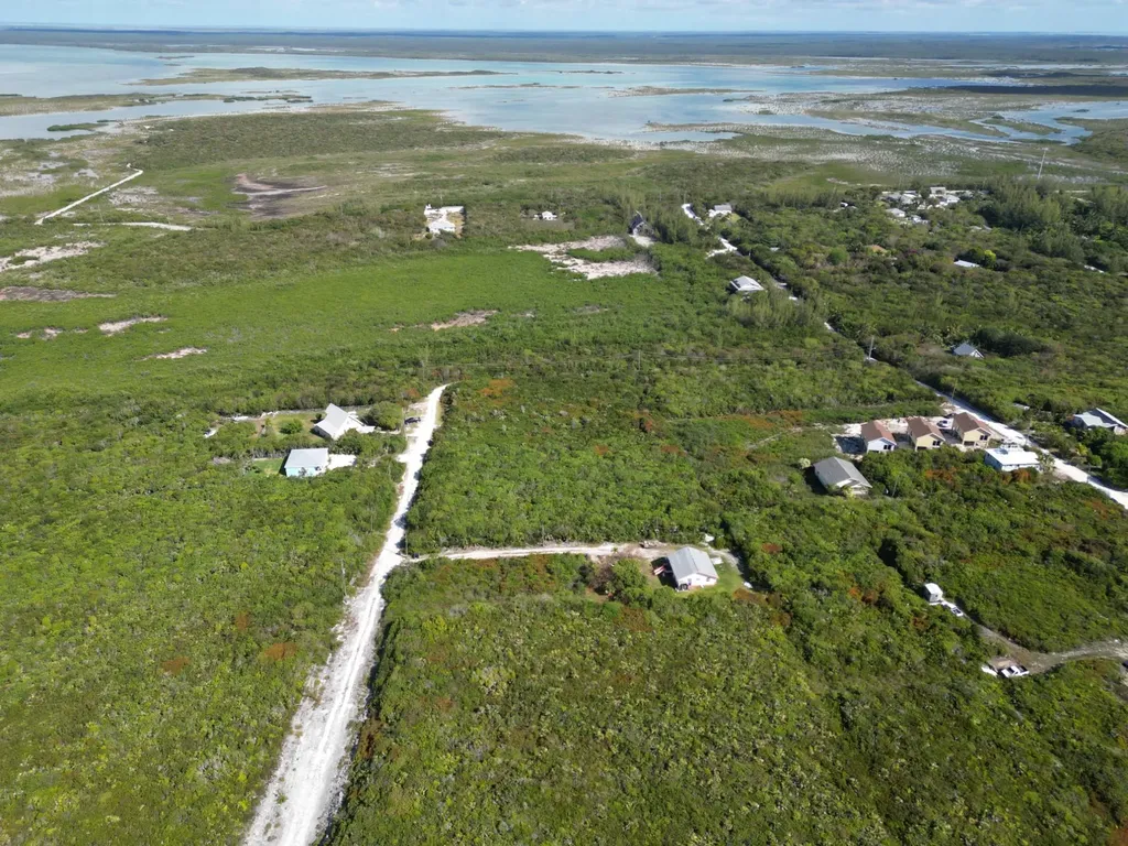 Yellow Wood, Cherokee 4f Abaco BS