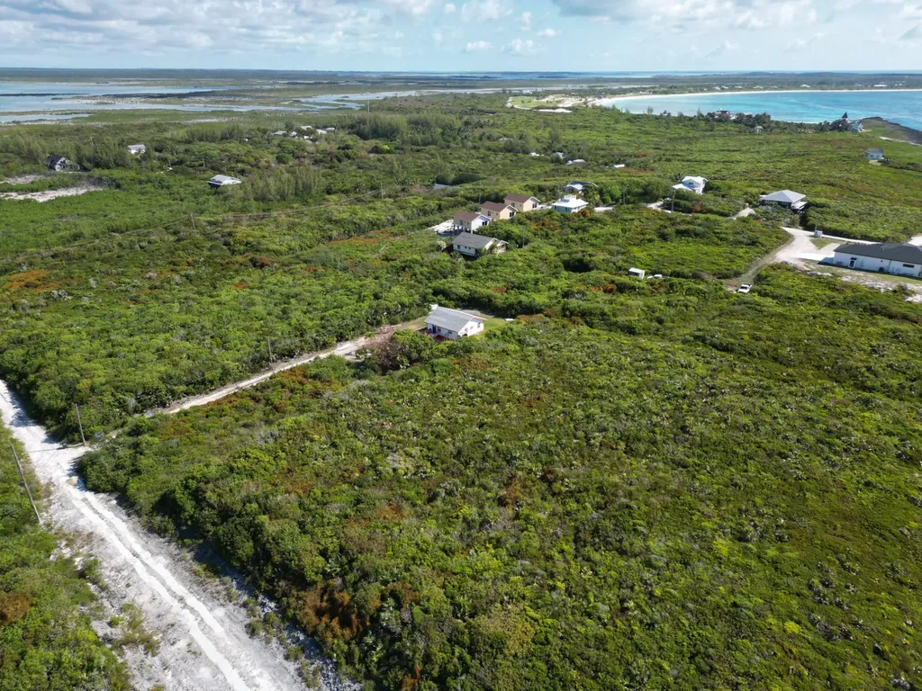 Yellow Wood, Cherokee 4f Abaco BS