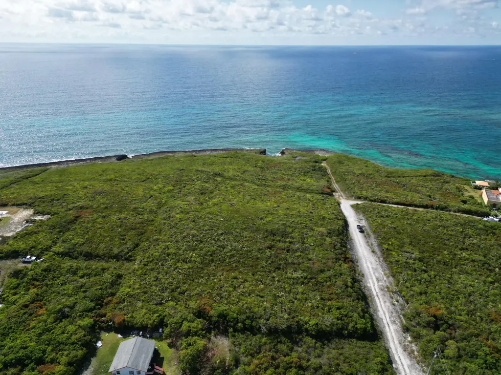 Yellow Wood, Cherokee 4f Abaco BS