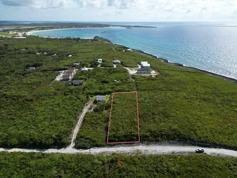 Yellow Wood, Cherokee 4f Abaco BS