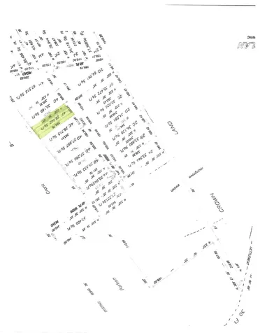 Yellow Wood, Cherokee 4f Abaco BS