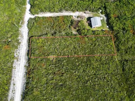 Yellow Wood, Cherokee 4f Abaco BS