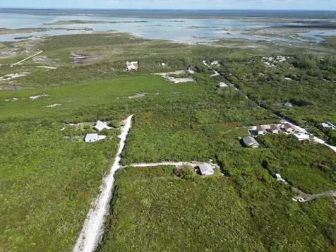 Yellow Wood, Cherokee 4f Abaco BS