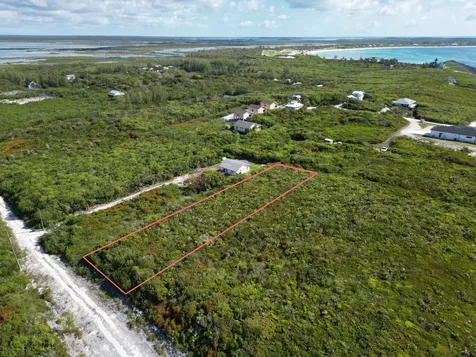 Yellow Wood, Cherokee 4f Abaco BS