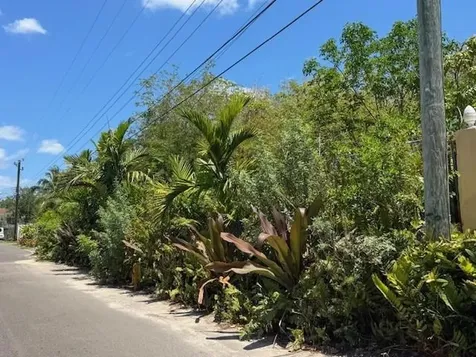 Stapledon Gardens New Providence Paradise Island BS