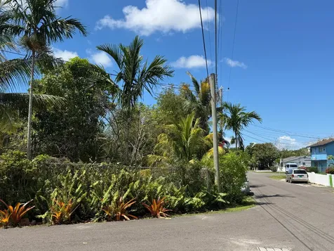 Stapledon Gardens New Providence Paradise Island BS