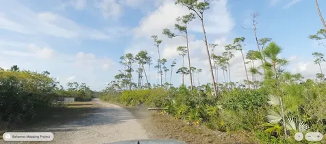 Gallinule Drive Yeoman Wood 26 Grand Bahama Freeport BS