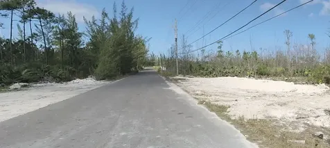 Dopey Drive 70 New Providence Paradise Island BS