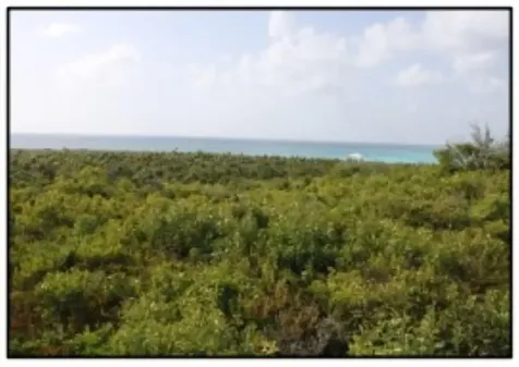Columbus Landings Two San Salvador BS