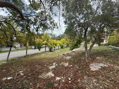 Woodland Way 32 New Providence Paradise Island BS