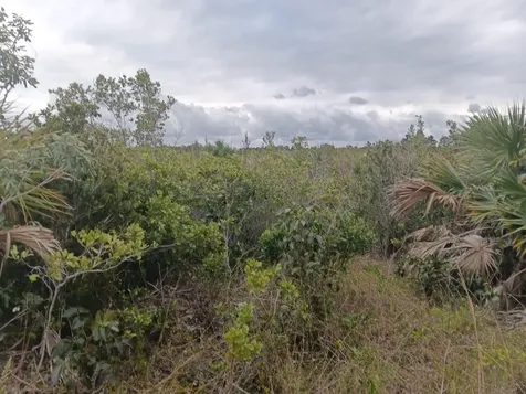 Buccaneer Beach Grand Bahama Freeport BS