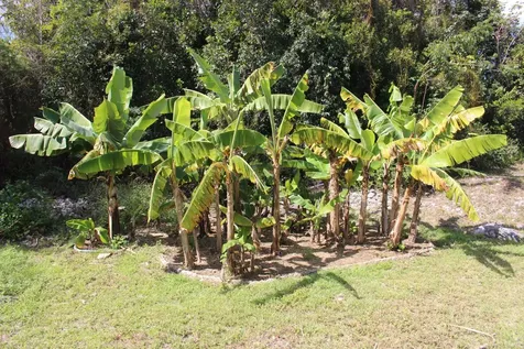 Lighthouse Lane 36 Abaco BS