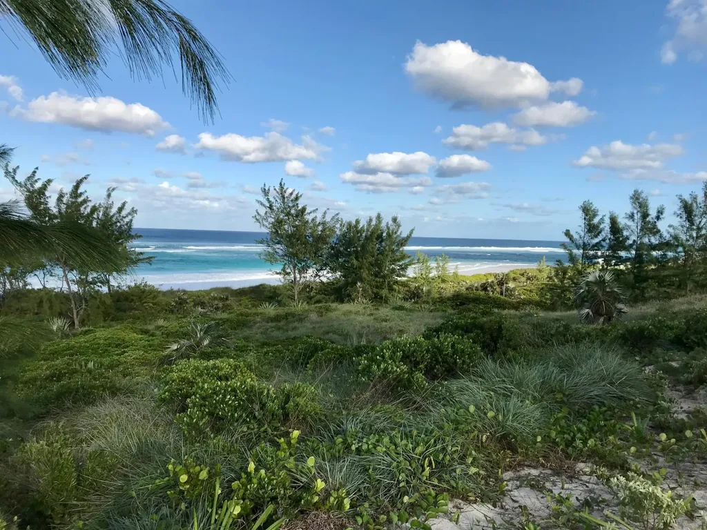 Ocean View Lot C1 Governo Eleuthera BS