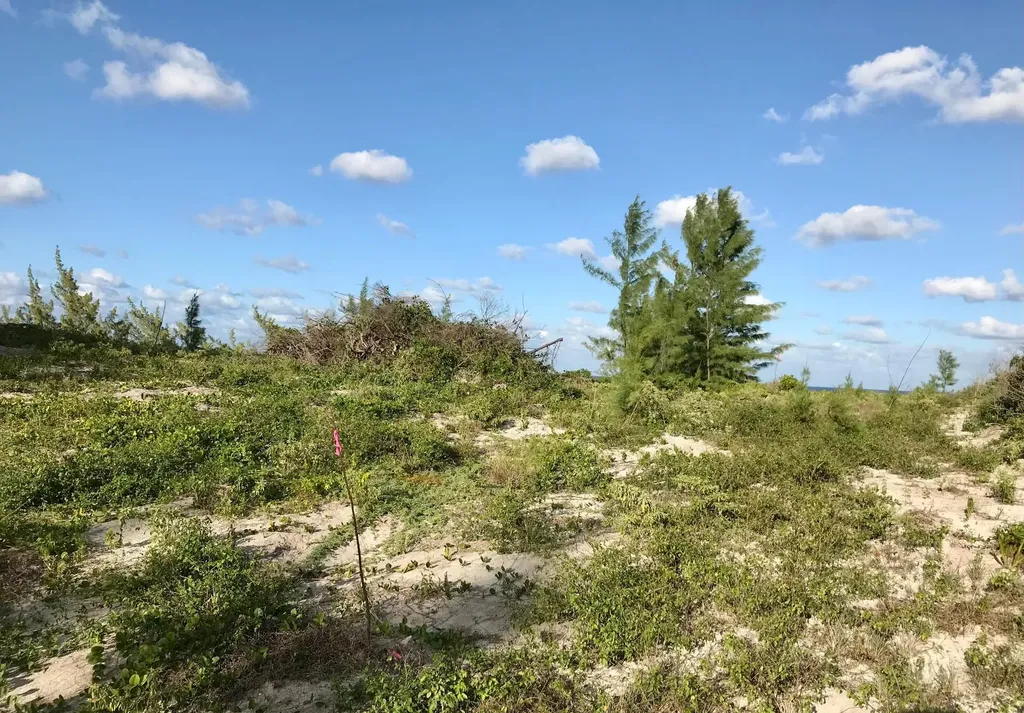 Ocean View Lot C1 Governo Eleuthera BS