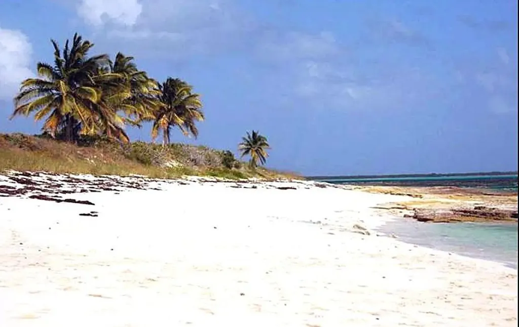 Columbus Landings San Salvador BS