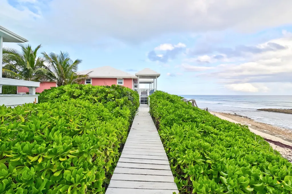 Sea Star Dorros Cove Abaco BS