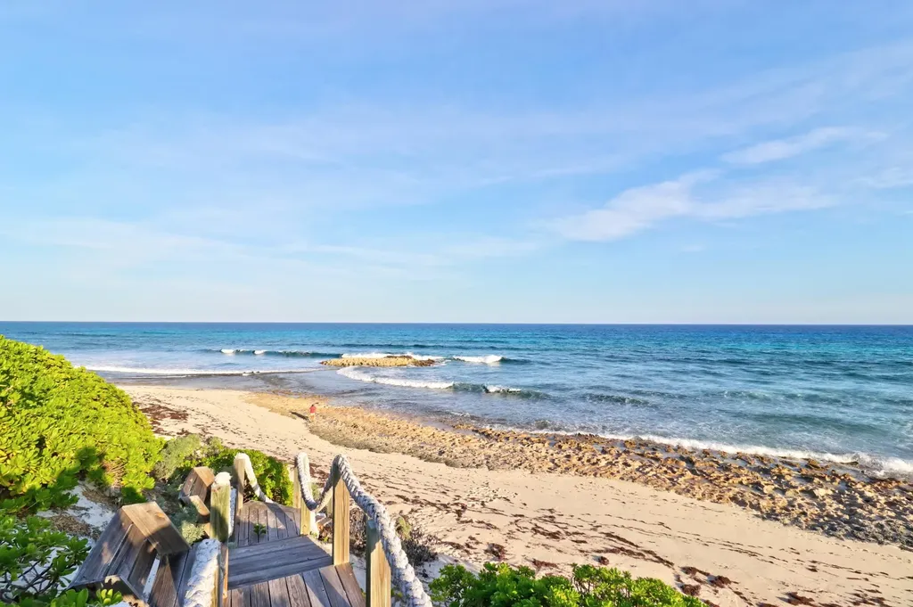 Sea Star Dorros Cove Abaco BS