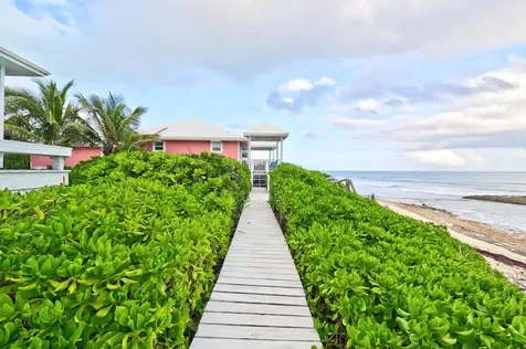 Sea Star Dorros Cove Abaco BS
