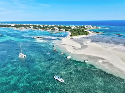 Sea Star Dorros Cove Abaco BS