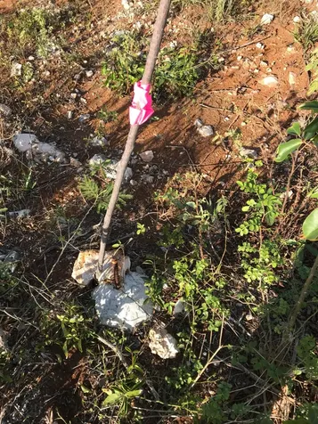 Governor's Harbour Lot B1 Eleuthera BS