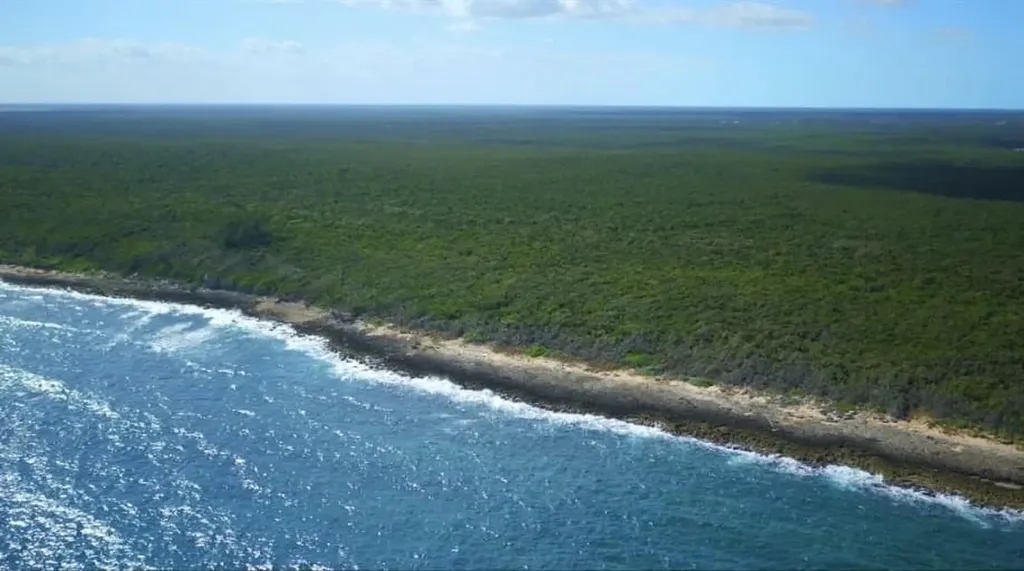Nicholls Town Waterfront Andros BS