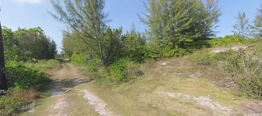 Nicholls Town Andros BS