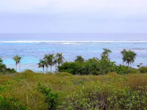 Turtle Cove Long Island BS