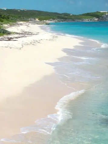 Turtle Cove Long Island BS