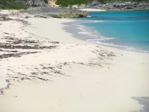 Turtle Cove Long Island BS