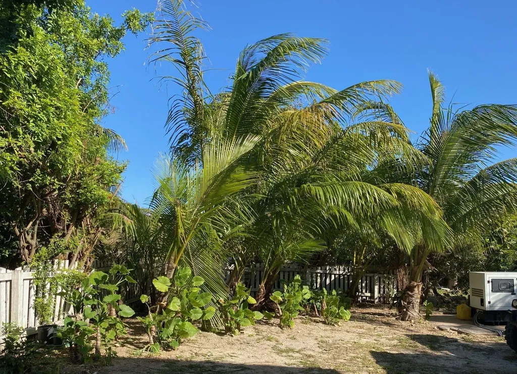 Off Course House Guana Abaco BS
