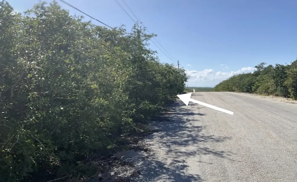 Hilltop Lot, Hamilton's Long Island BS