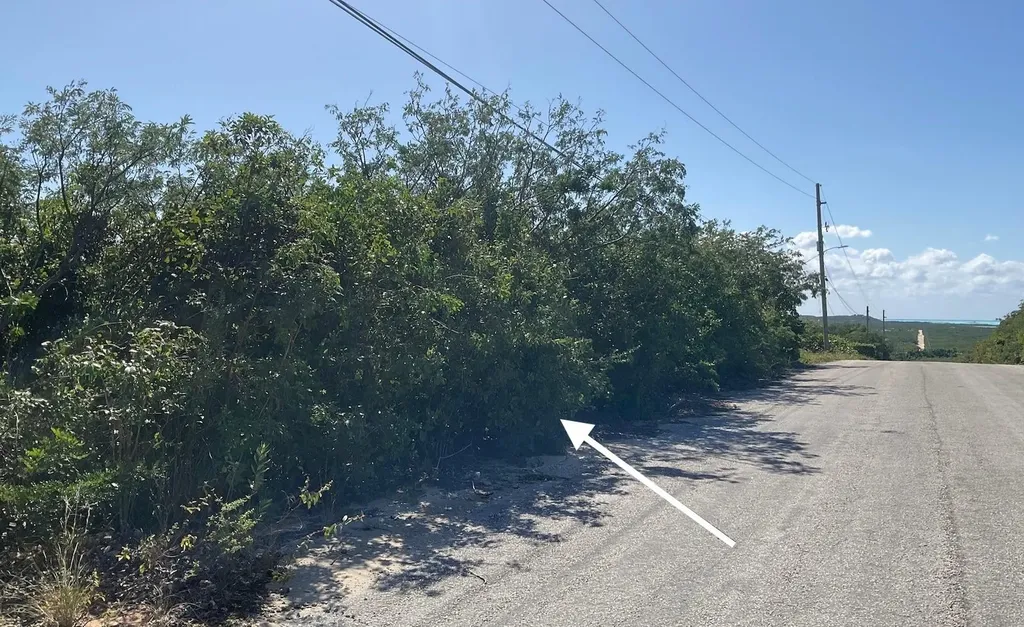 Hilltop Lot, Hamilton's Long Island BS