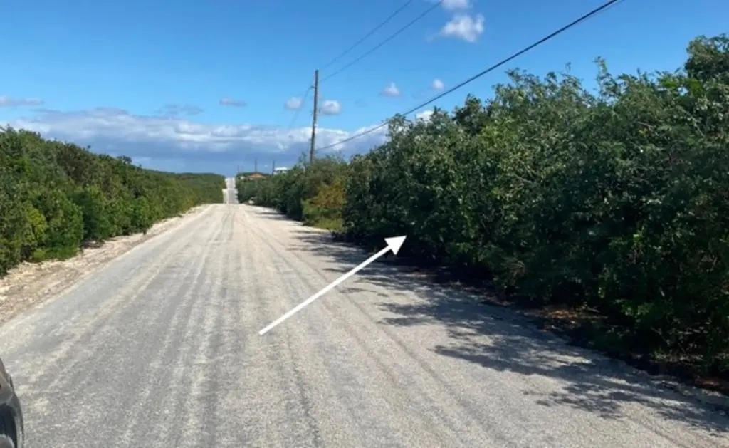 Hilltop Lot, Hamilton's Long Island BS