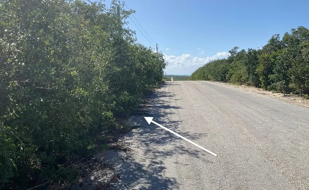 Hilltop Lot, Hamilton's Long Island BS