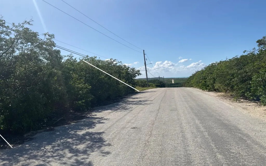 Hilltop Lot, Hamilton's Long Island BS