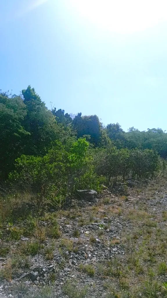 Eastern Side Of Curtis Road Exuma BS