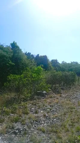 Eastern Side Of Curtis Road Exuma BS