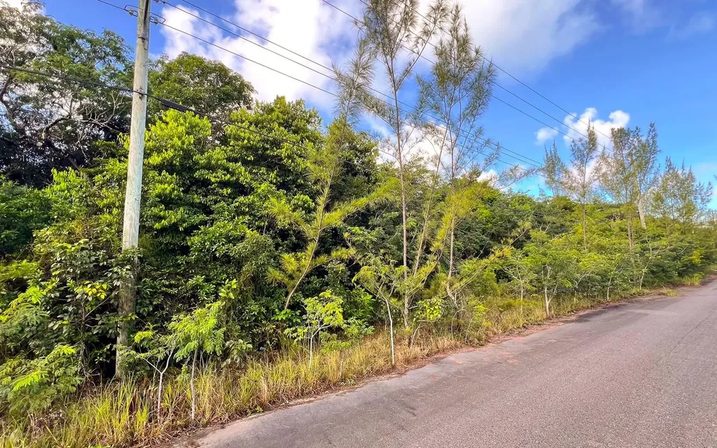 Lot 27d, Love Estates Sub New Providence Paradise Island BS