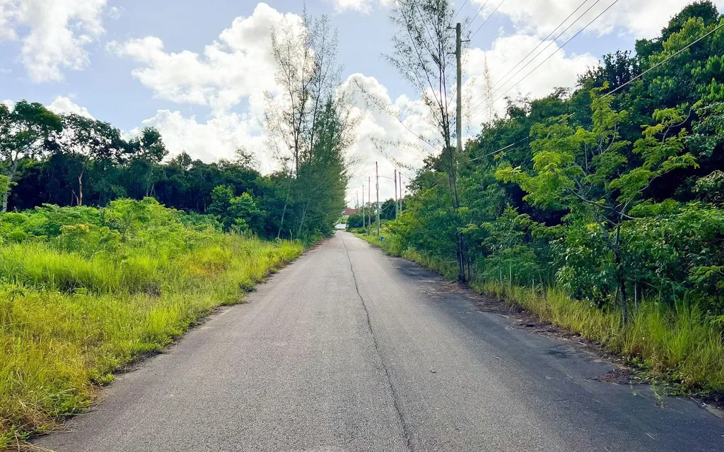 Lot 27d, Love Estates Sub New Providence Paradise Island BS