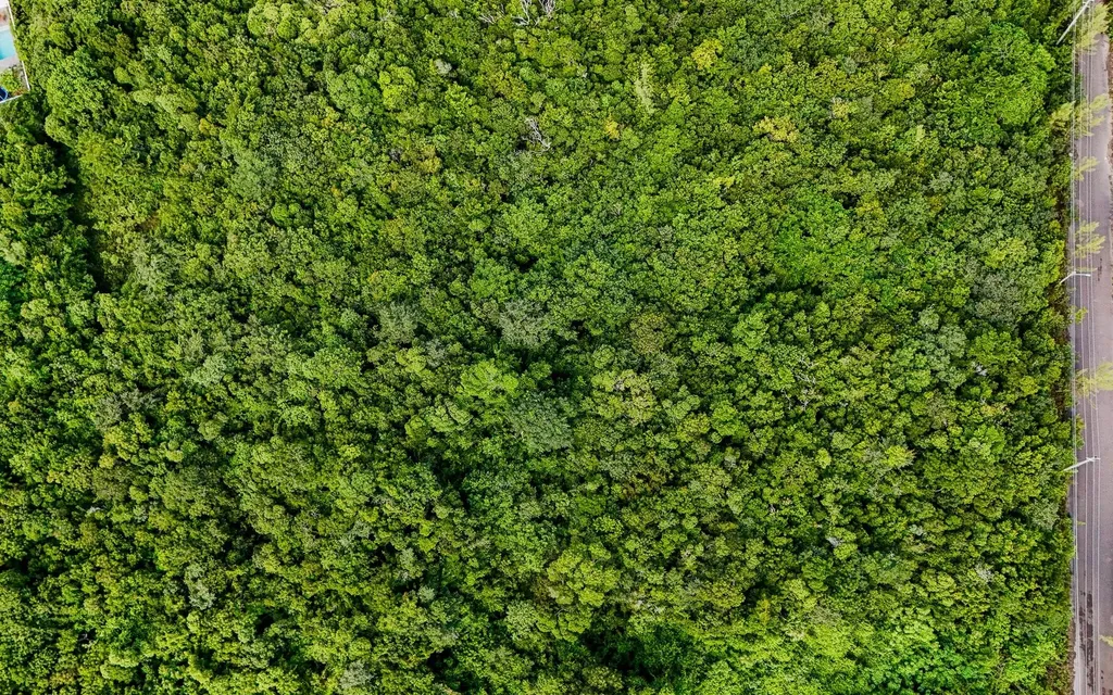 Lot 27d, Love Estates Sub New Providence Paradise Island BS