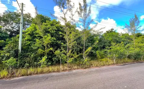 Lot 27d, Love Estates Sub New Providence Paradise Island BS