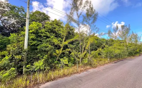 Lot 27d, Love Estates Sub New Providence Paradise Island BS